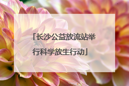 长沙公益放流站举行科学放生行动