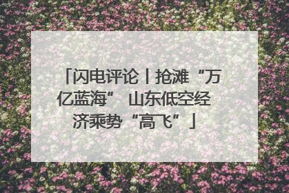 闪电评论丨抢滩“万亿蓝海” 山东低空经济乘势“高飞”