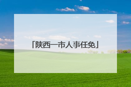 陕西一市人事任免