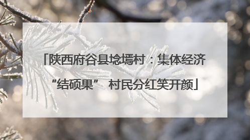 陕西府谷县埝墕村：集体经济“结硕果” 村民分红笑开颜