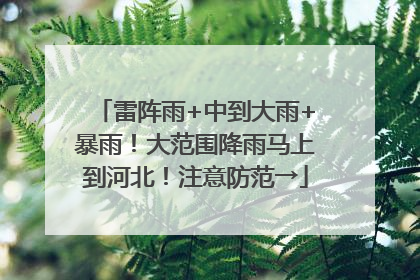 雷阵雨+中到大雨+暴雨！大范围降雨马上到河北！注意防范→