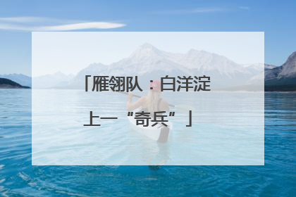 雁翎队：白洋淀上一“奇兵”