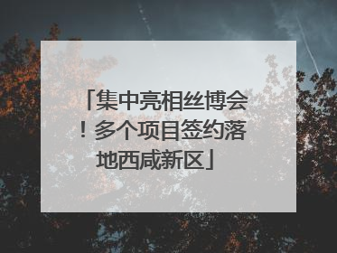 集中亮相丝博会！多个项目签约落地西咸新区