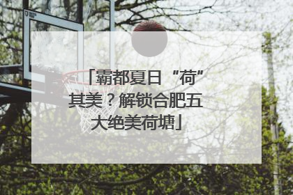 霸都夏日“荷”其美？解锁合肥五大绝美荷塘