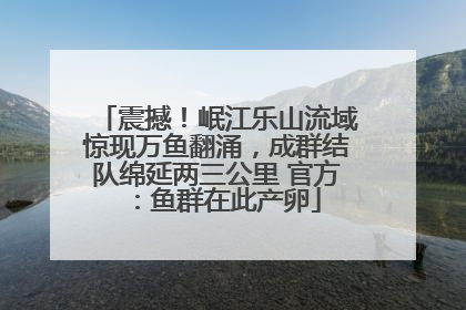 震撼！岷江乐山流域惊现万鱼翻涌，成群结队绵延两三公里 官方：鱼群在此产卵