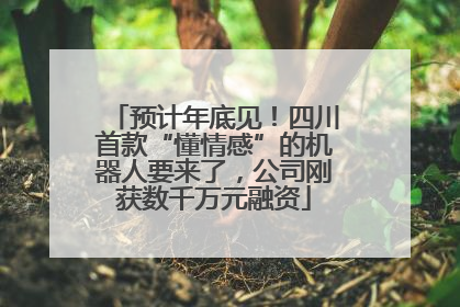 预计年底见！四川首款“懂情感”的机器人要来了，公司刚获数千万元融资