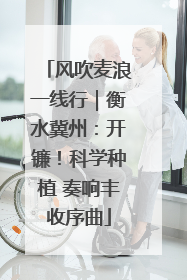风吹麦浪一线行｜衡水冀州：开镰！科学种植 奏响丰收序曲