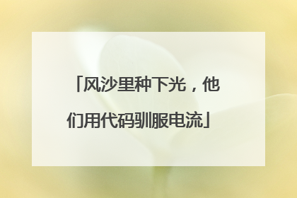 风沙里种下光，他们用代码驯服电流