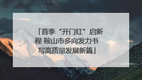 首季“开门红”启新程 鞍山市多向发力书写高质量发展新篇