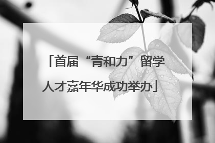 首届“青和力”留学人才嘉年华成功举办