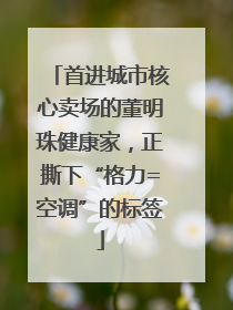 首进城市核心卖场的董明珠健康家，正撕下“格力=空调”的标签