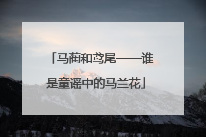马蔺和鸢尾——谁是童谣中的马兰花
