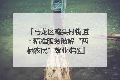 马龙区鸡头村街道：精准服务破解“两栖农民”就业难题