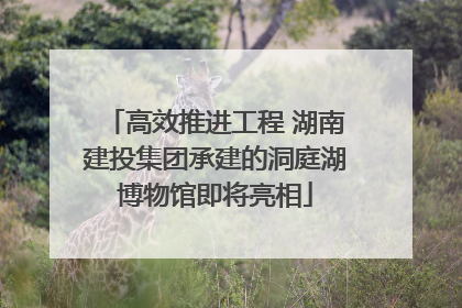 高效推进工程 湖南建投集团承建的洞庭湖博物馆即将亮相