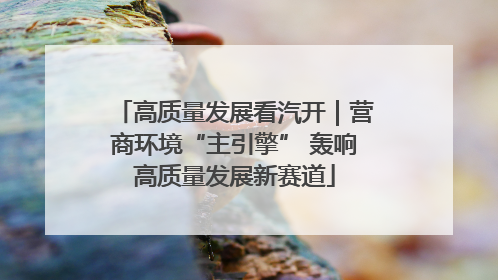 高质量发展看汽开｜营商环境“主引擎” 轰响高质量发展新赛道