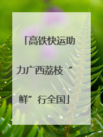 高铁快运助力广西荔枝“鲜”行全国