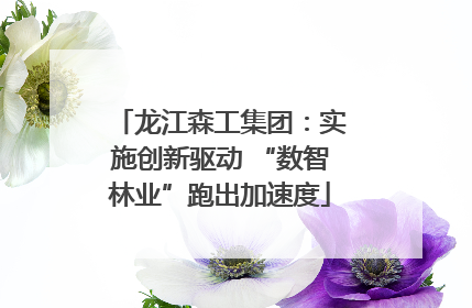 龙江森工集团：实施创新驱动 “数智林业”跑出加速度