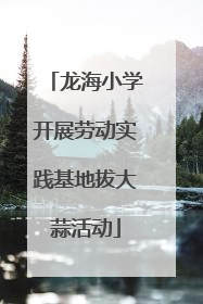 龙海小学开展劳动实践基地拔大蒜活动