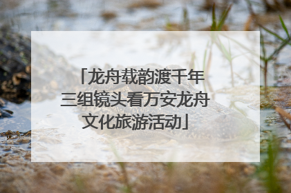 龙舟载韵渡千年 三组镜头看万安龙舟文化旅游活动