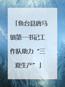 鱼台县唐马镇第一书记工作队助力“三夏生产”