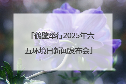 鹤壁举行2025年六五环境日新闻发布会