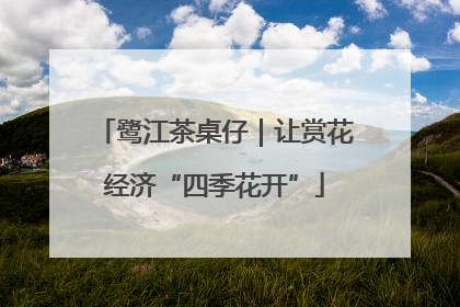 鹭江茶桌仔｜让赏花经济“四季花开”