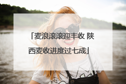 麦浪滚滚迎丰收 陕西麦收进度过七成