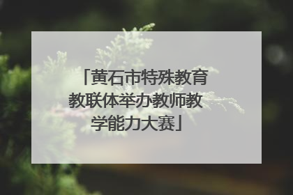 黄石市特殊教育教联体举办教师教学能力大赛