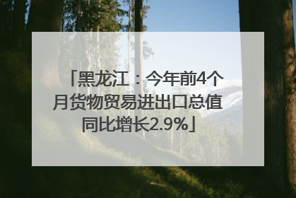 黑龙江：今年前4个月货物贸易进出口总值同比增长2.9%
