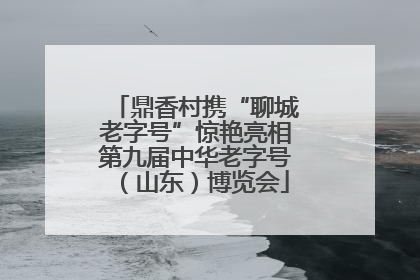 鼎香村携“聊城老字号”惊艳亮相第九届中华老字号（山东）博览会