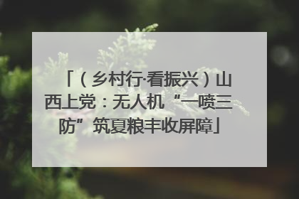 （乡村行·看振兴）山西上党：无人机“一喷三防”筑夏粮丰收屏障