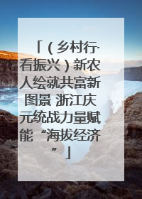 （乡村行·看振兴）新农人绘就共富新图景 浙江庆元统战力量赋能“海拔经济”