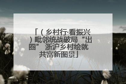 (乡村行·看振兴)毗邻统战破局“出圈” 浙沪乡村绘就共富新图景
