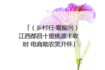 （乡村行·看振兴）江西都昌十里桃源丰收时 电商助农笑开怀
