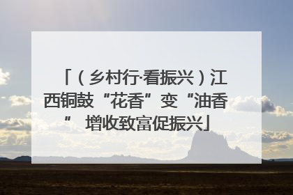 （乡村行·看振兴）江西铜鼓“花香”变“油香” 增收致富促振兴