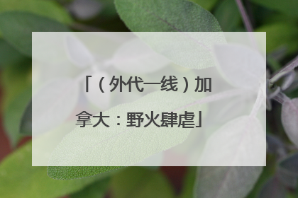 （外代一线）加拿大：野火肆虐