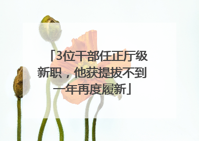 3位干部任正厅级新职，他获提拔不到一年再度履新