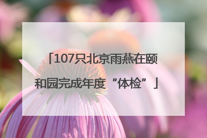107只北京雨燕在颐和园完成年度“体检”
