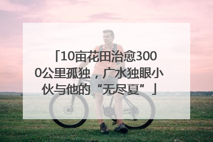 10亩花田治愈3000公里孤独，广水独眼小伙与他的“无尽夏”