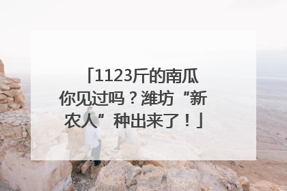 1123斤的南瓜你见过吗？潍坊“新农人”种出来了！
