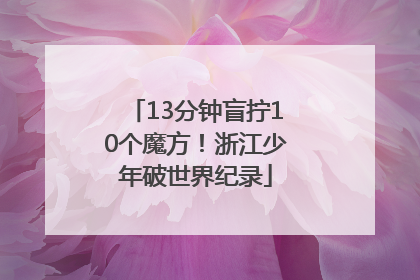 13分钟盲拧10个魔方！浙江少年破世界纪录