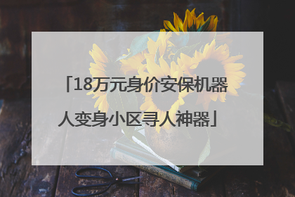 18万元身价安保机器人变身小区寻人神器