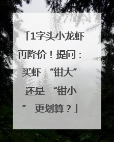 1字头小龙虾再降价！提问：买虾 “钳大” 还是 “钳小” 更划算？