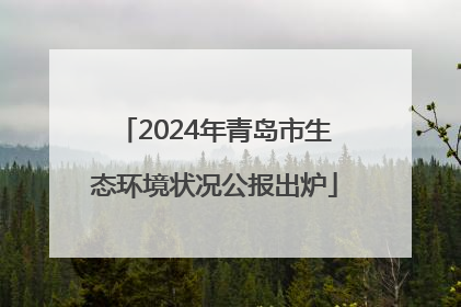 2024年青岛市生态环境状况公报出炉