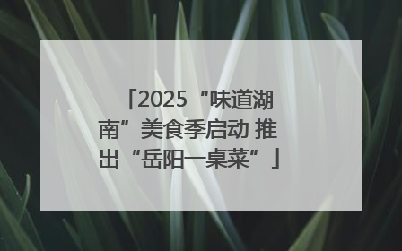 2025“味道湖南”美食季启动 推出“岳阳一桌菜”