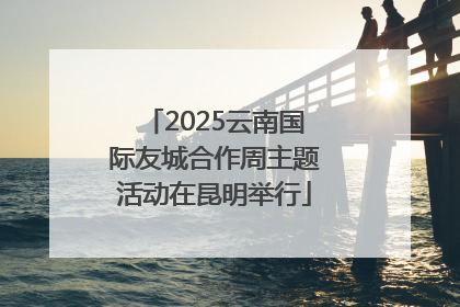 2025云南国际友城合作周主题活动在昆明举行