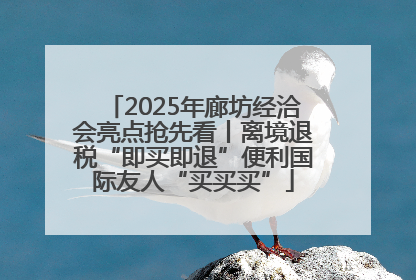 2025年廊坊经洽会亮点抢先看丨离境退税“即买即退”便利国际友人“买买买”