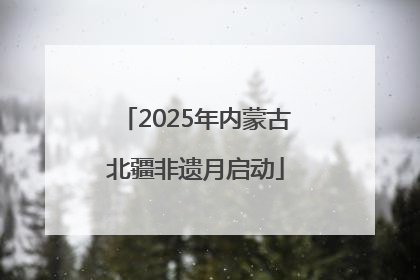 2025年内蒙古北疆非遗月启动