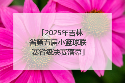 2025年吉林省第五届小篮球联赛省级决赛落幕