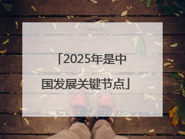 2025年是中国发展关键节点
